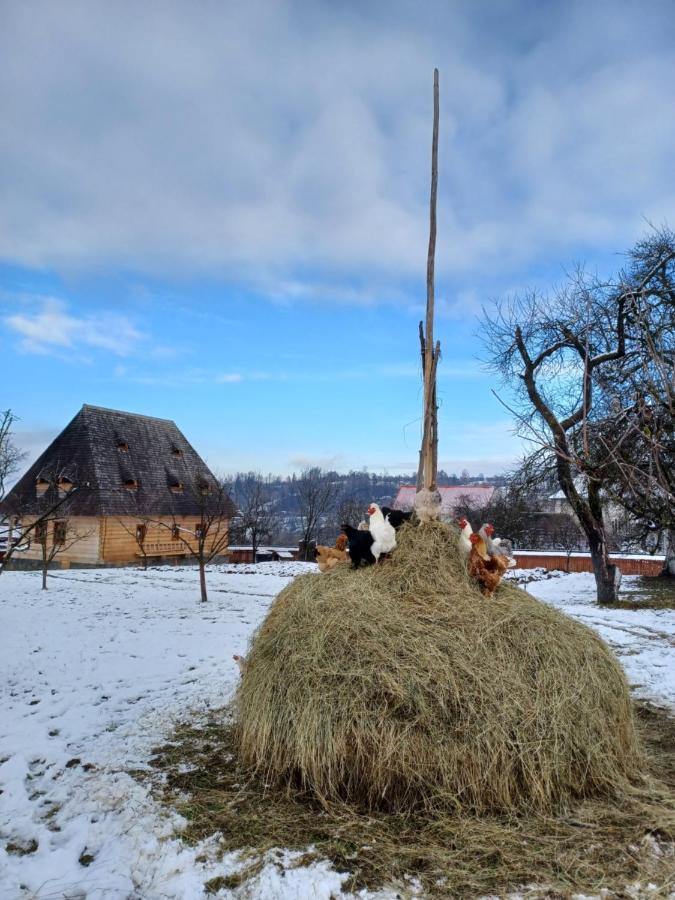 Pensiunea Agroturistica Casa Pribegilor Breb Exterior foto